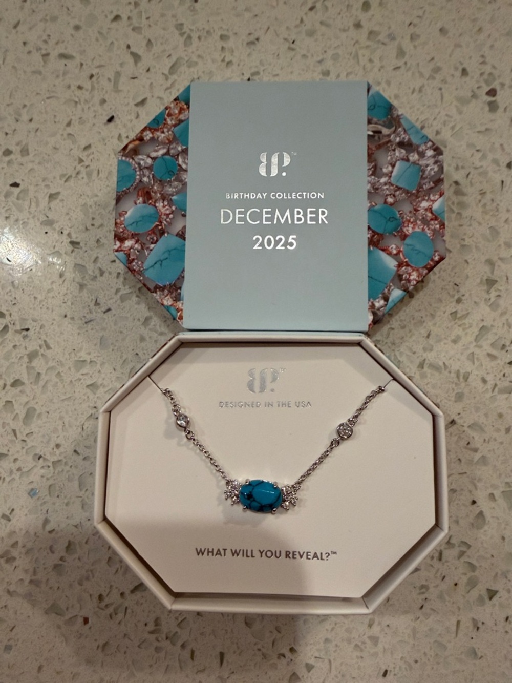 December 2025 Turquoise Pendant Necklace - Silver Chain